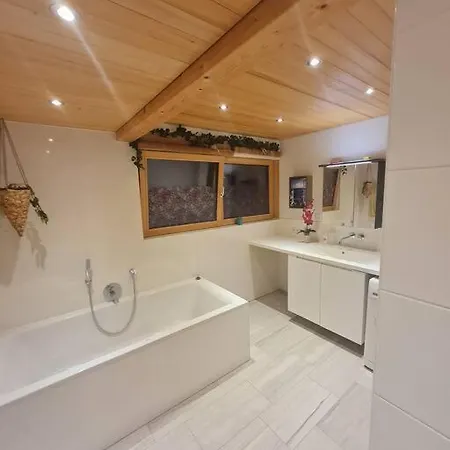 Großzügige Am Skigebiet Bödele Mit Rheintalblick