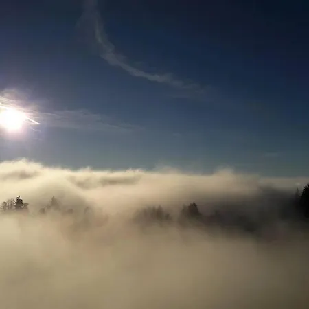 Großzügige Am Skigebiet Bödele Mit Rheintalblick